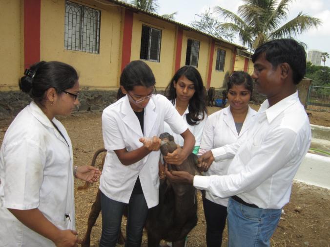 Hands on training to students